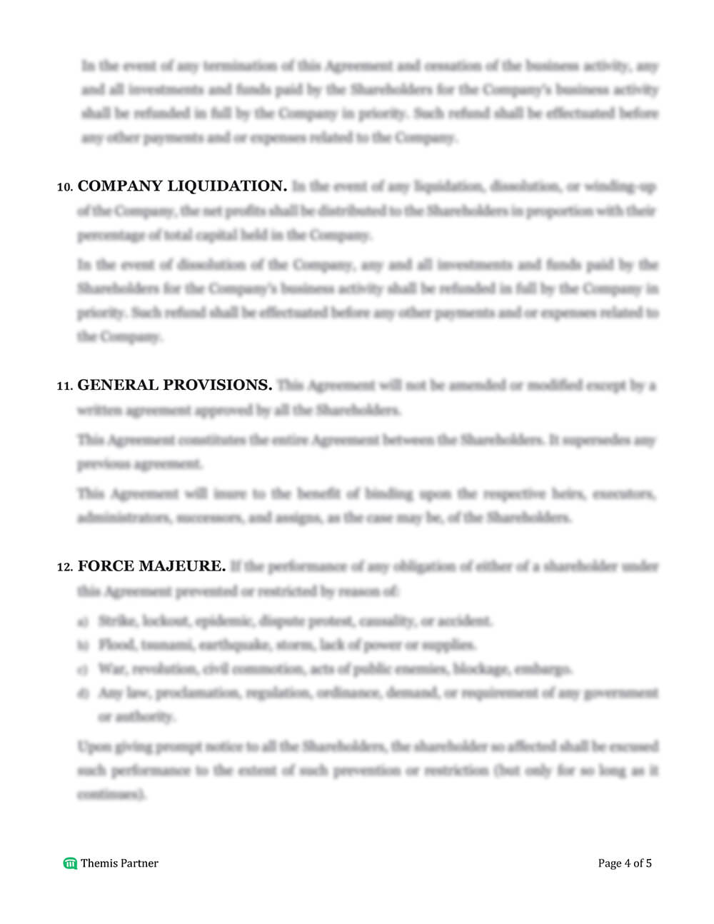 Shareholders agreement template 4